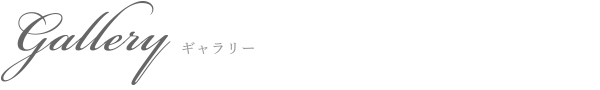 ギャラリー